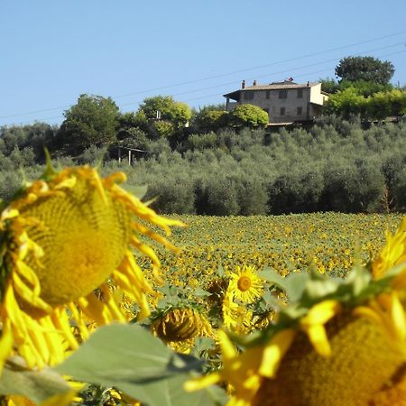 אמליה Agriturismo Oliveto Di Geltrude Contessa מראה חיצוני תמונה