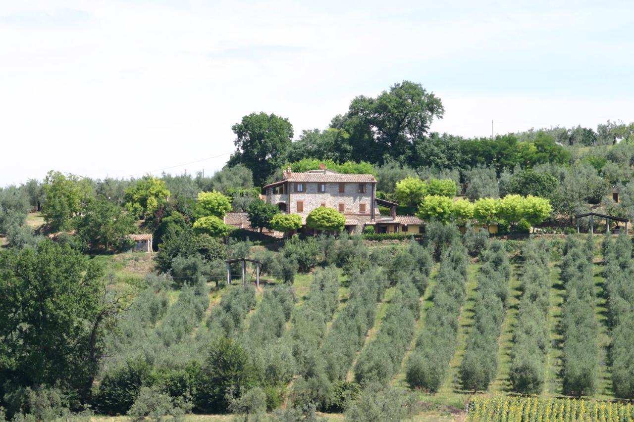אמליה Agriturismo Oliveto Di Geltrude Contessa מראה חיצוני תמונה